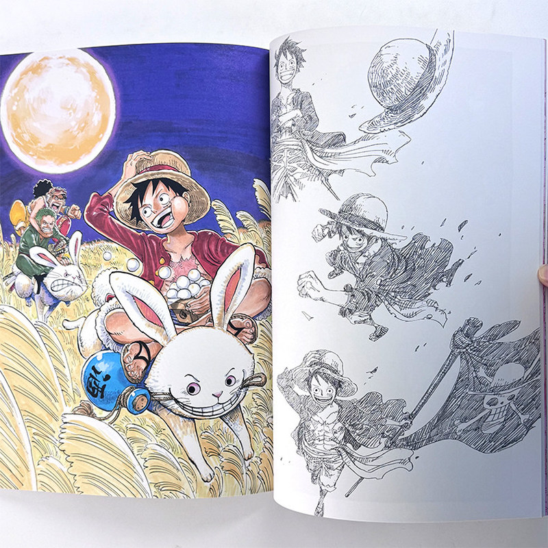 Livro de Ilustrações One Piece - Stationery Books avaliação e preço