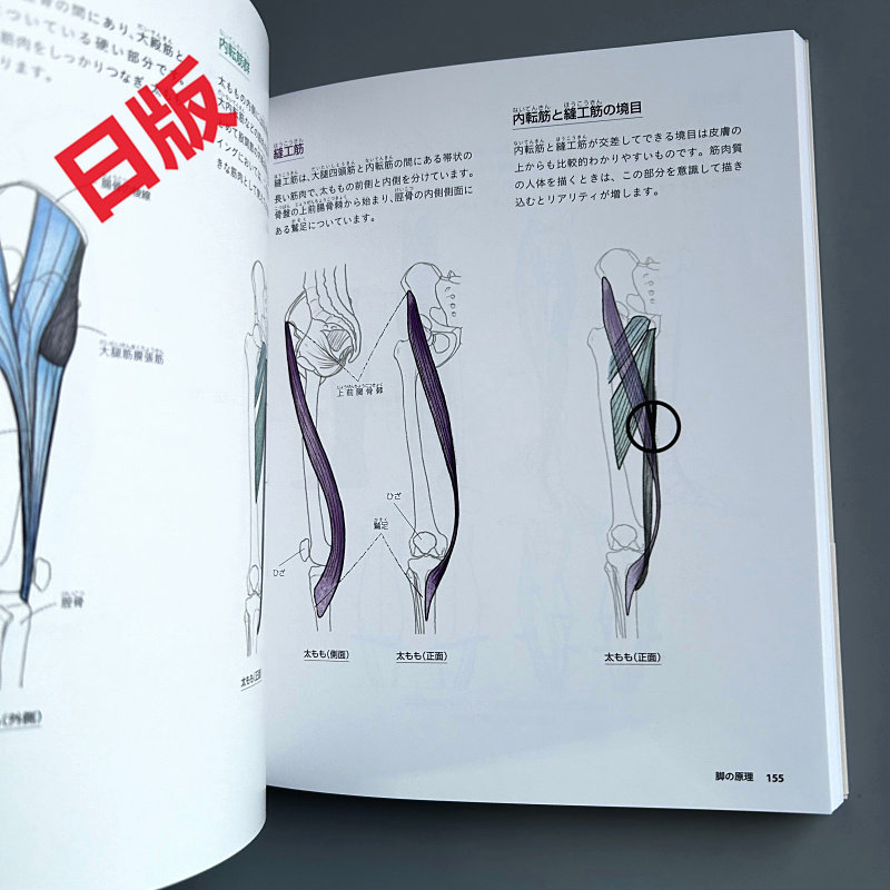 Noções básicas de desenho huma - Japanese Manga Drawing Tutorial Book avaliação e preço